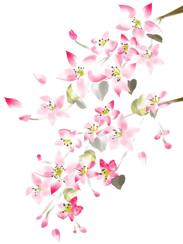 For Your Space | Sakura - Image 2